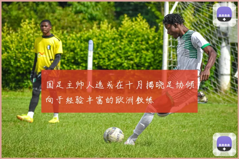 国足主帅人选或在十月揭晓足协倾向于经验丰富的欧洲教练