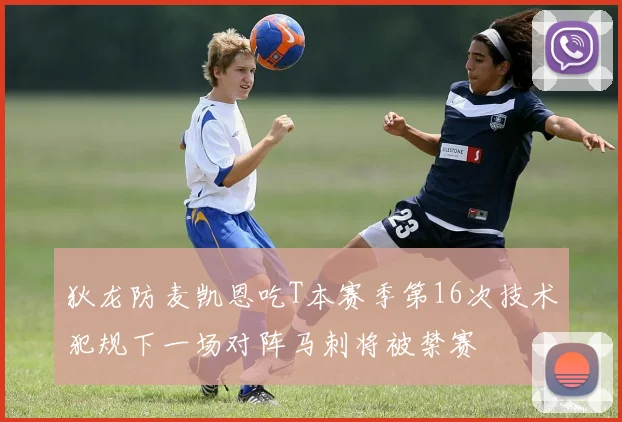 狄龙防麦凯恩吃T本赛季第16次技术犯规下一场对阵马刺将被禁赛